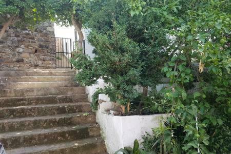 Casa Rural El Patio Pension Zahara De La Sierra Buitenkant foto